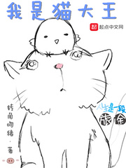 我是猫大王小说