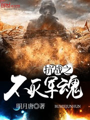 抗战之不死军神 小说
