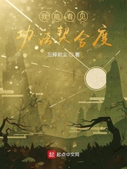 我能看见功法契合度123读