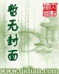 小说作者豆豆介绍