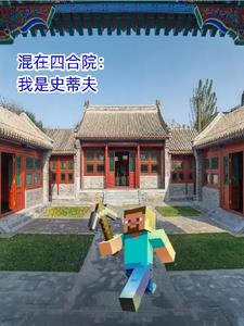 我有一个四合院小说陈阳免费我